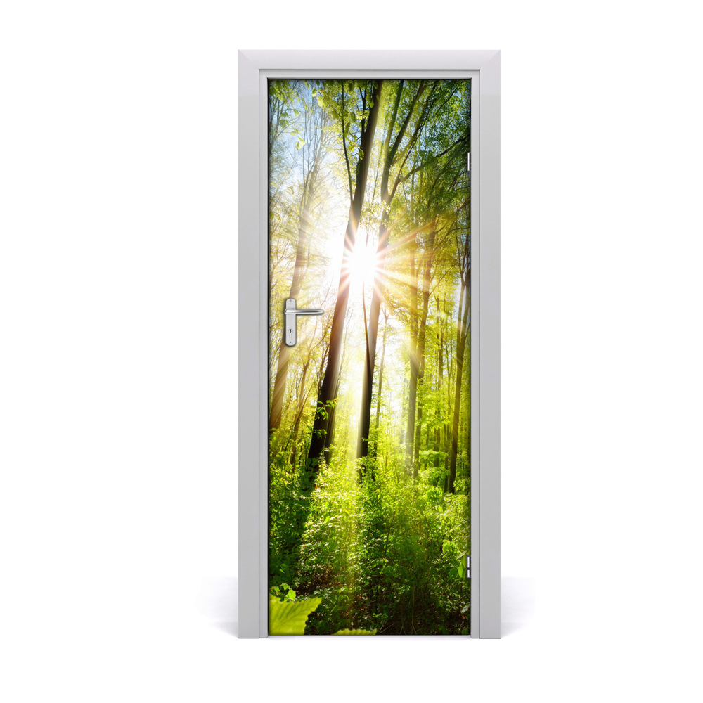 Naklejka na drzwi samoprzylepna Słoneczny las