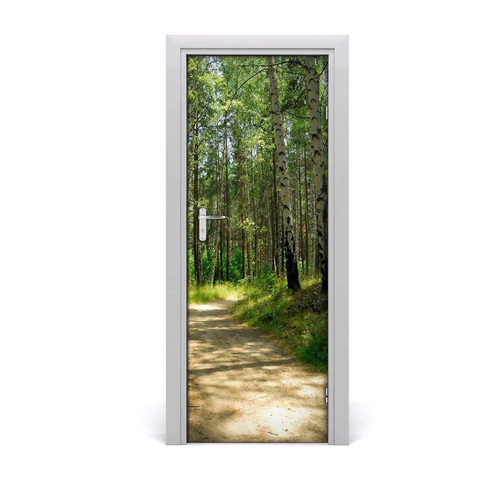 Naklejka fototapeta na drzwi Ścieżka w brzozowym lesie