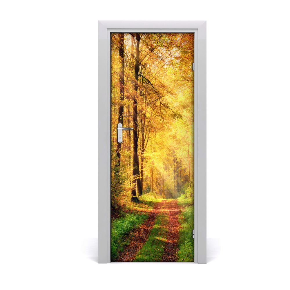 Naklejka fototapeta na drzwi Droga w lesie jesienią