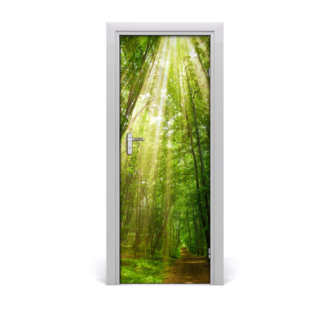 Naklejka fototapeta na drzwi Promienie słońca w lesie