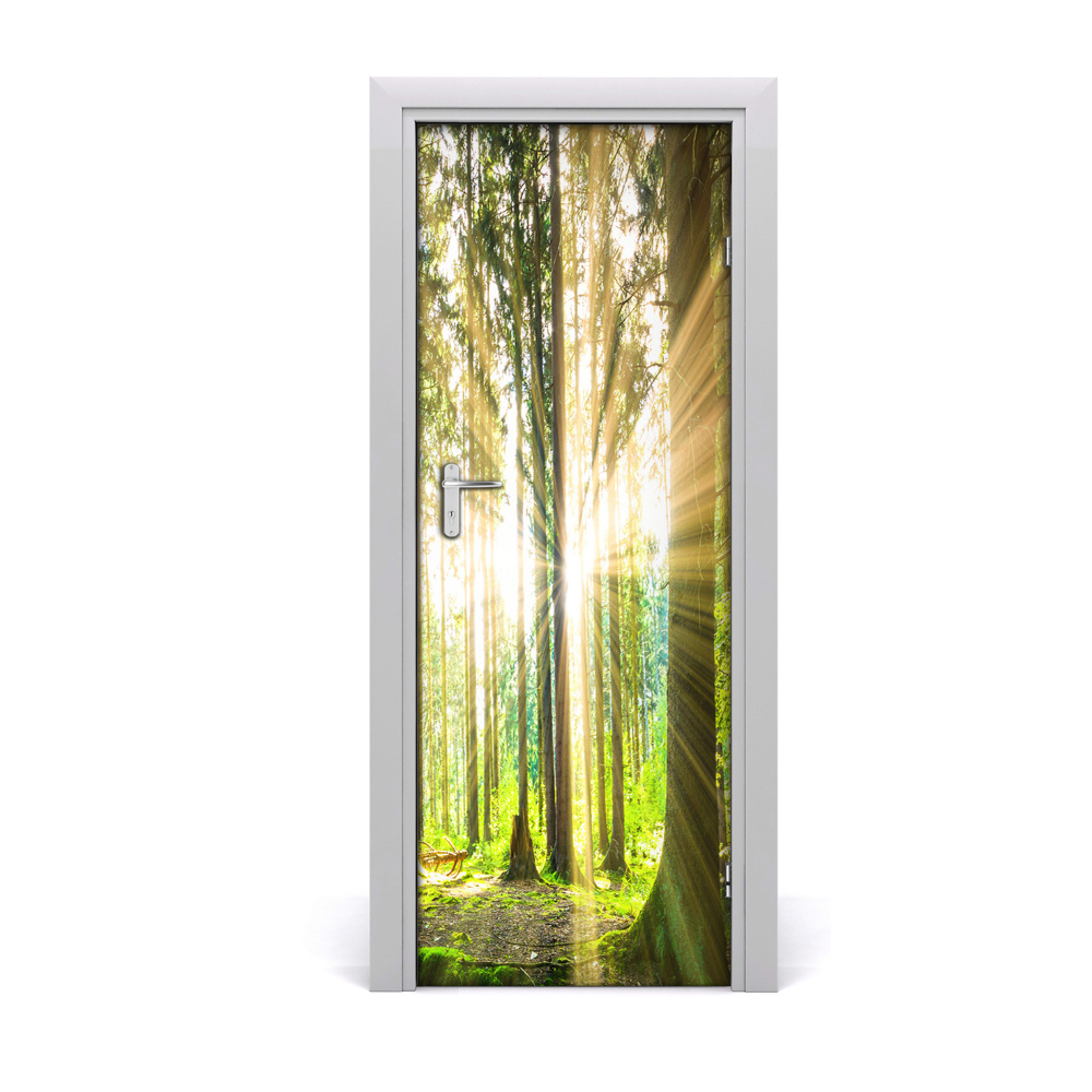 Naklejka fototapeta na drzwi Słoneczne promienie w lesie