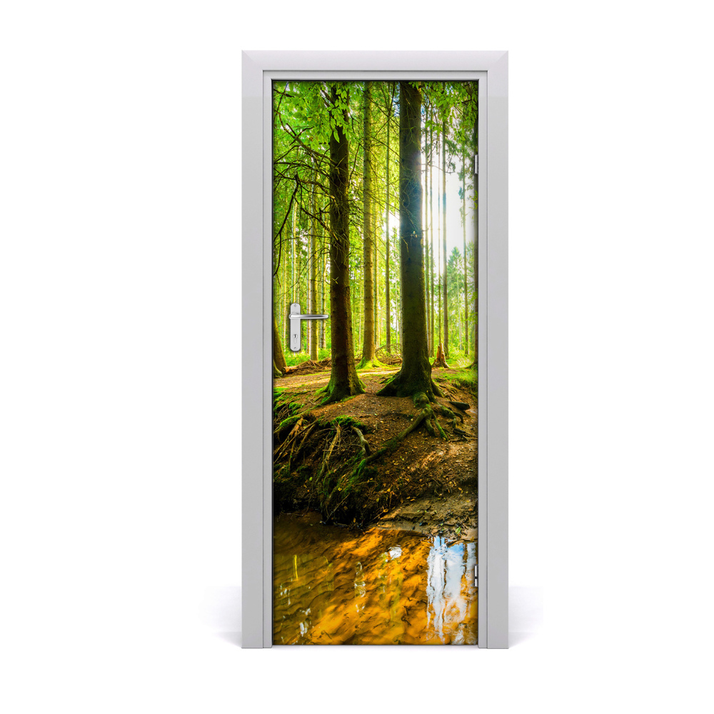 Naklejka fototapeta na drzwi Strumień w pięknym lasie