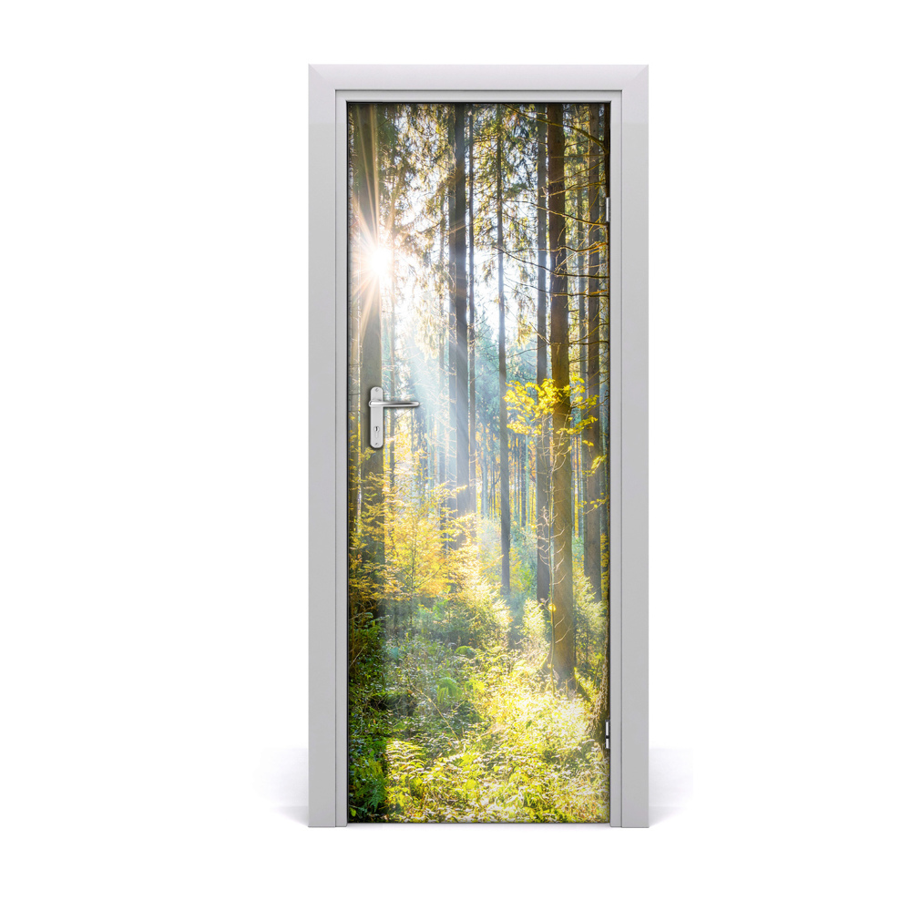 Naklejka fototapeta na drzwi Słońce wśród drzew