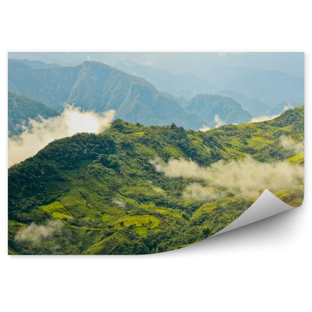 Okleina ścienna Peru lasy drzewa polany góry chmury