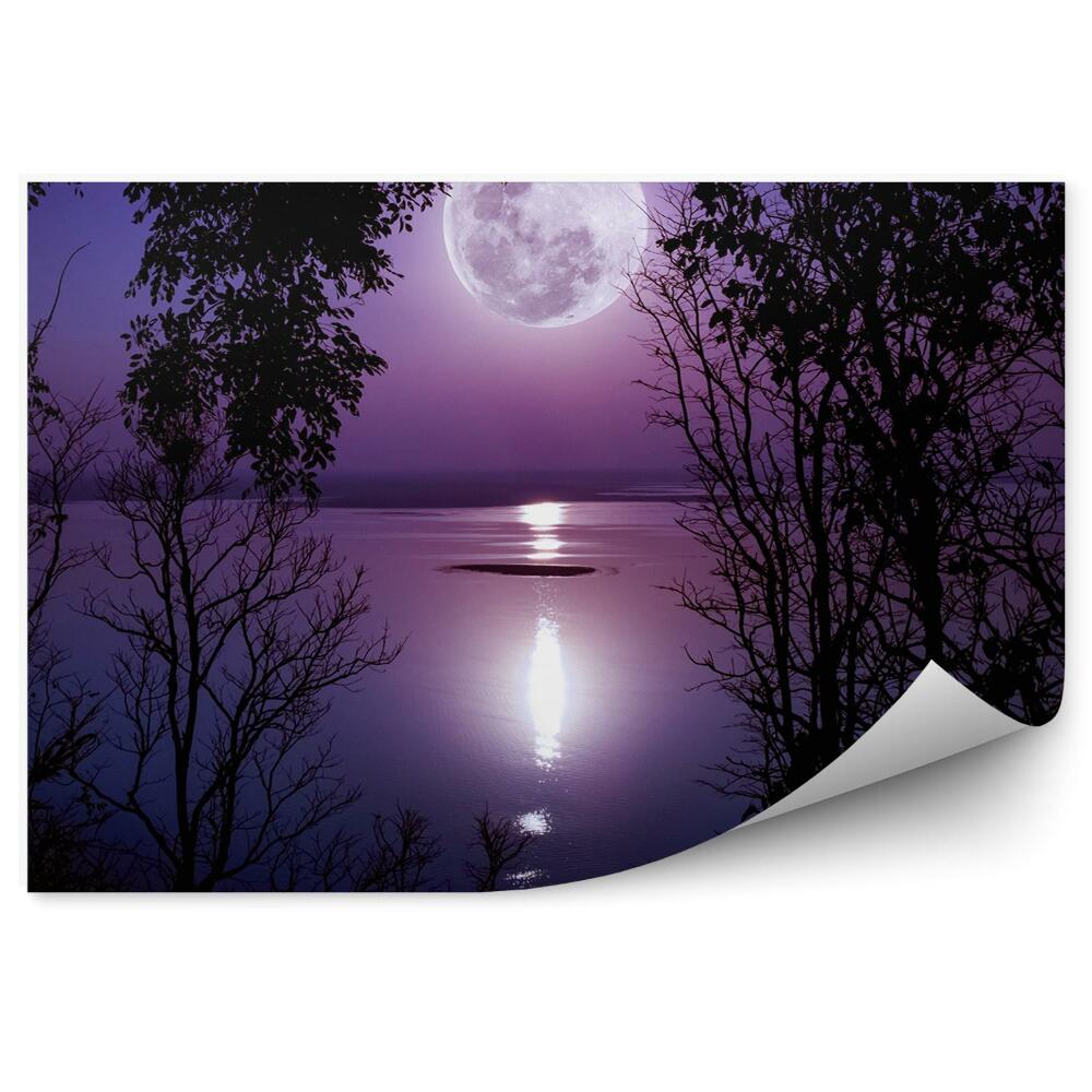 Fototapeta Las jezioro noc księżyc cień światła
