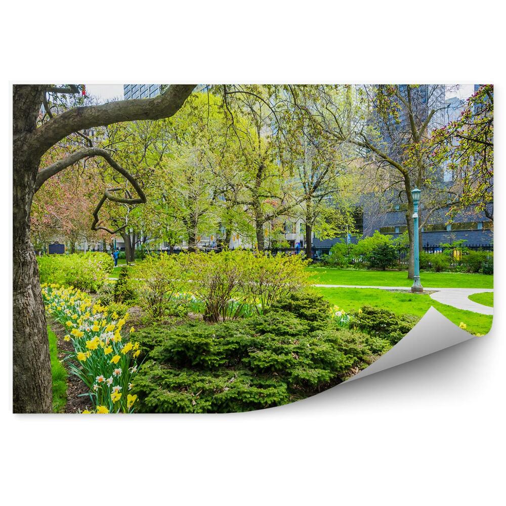 Okleina ścienna Drzewa ogrody żonkile kwiatki park miejski
