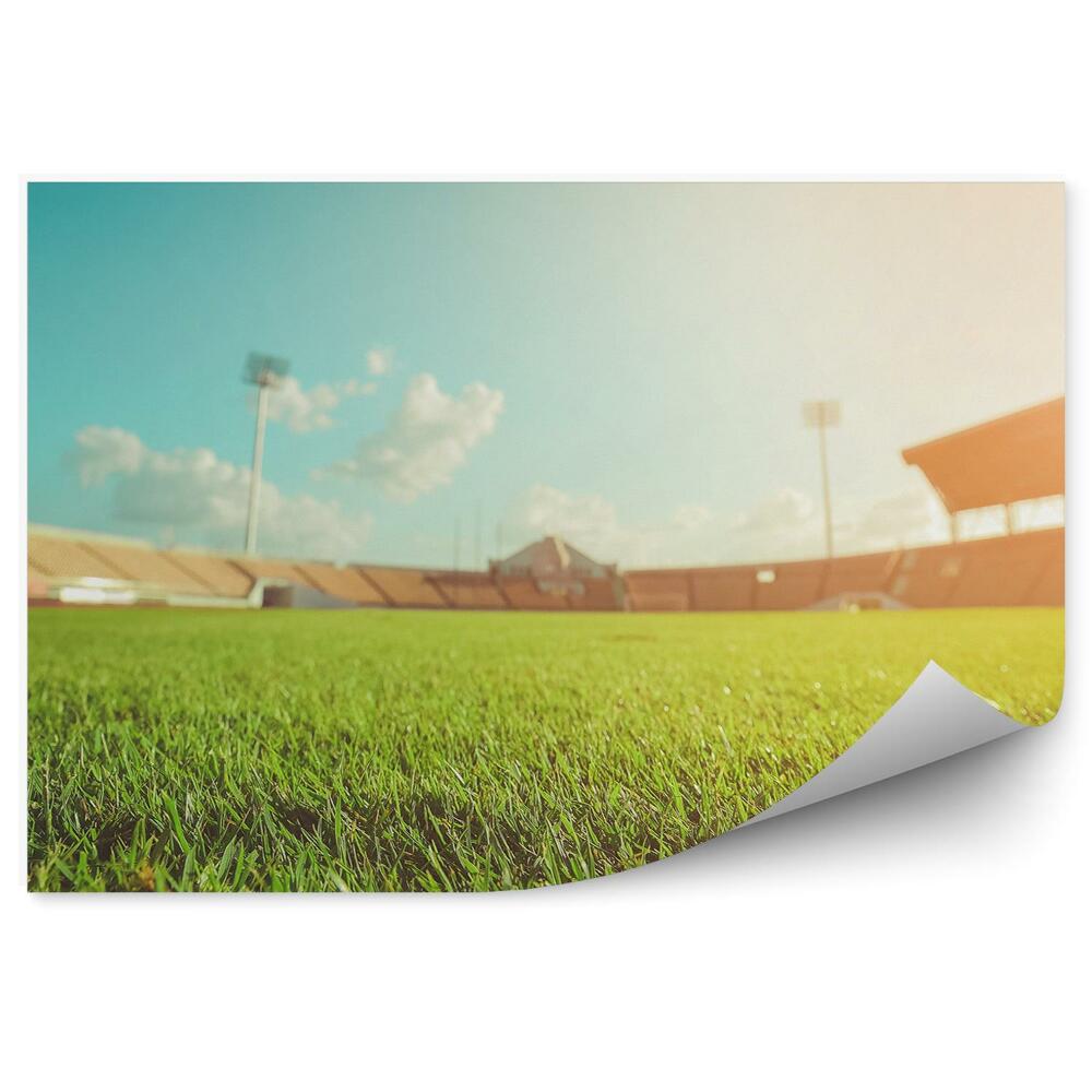 Fototapeta samoprzylepna Zielona trawa stadion piłkarski