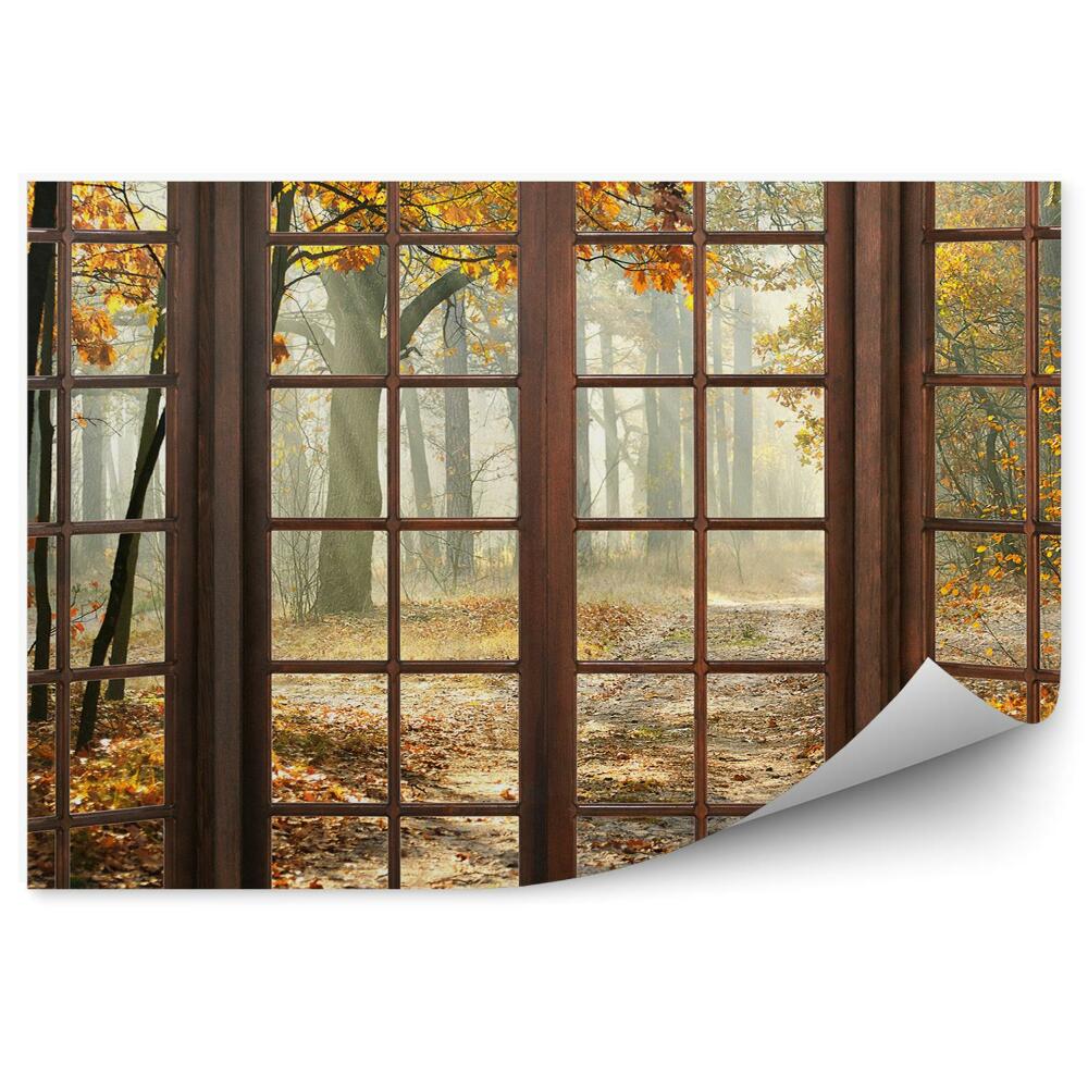 Fototapeta na ścianę Jesienny park za oknem drewniane okna