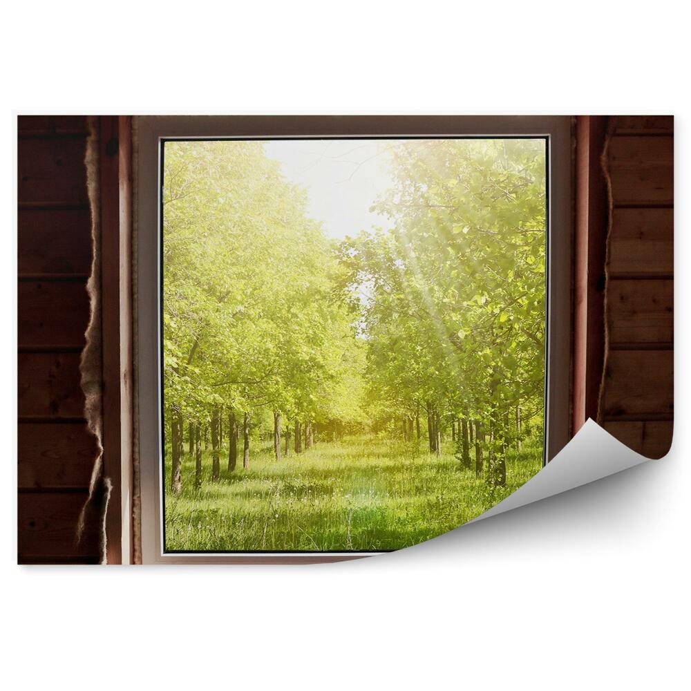 Fototapeta na ścianę Drewniany domek z widokiem na oświetlony las