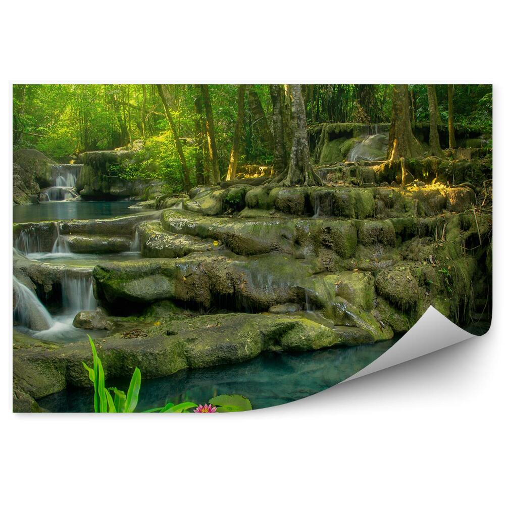 Fototapeta Kaskady woda dżungla drzewa skały