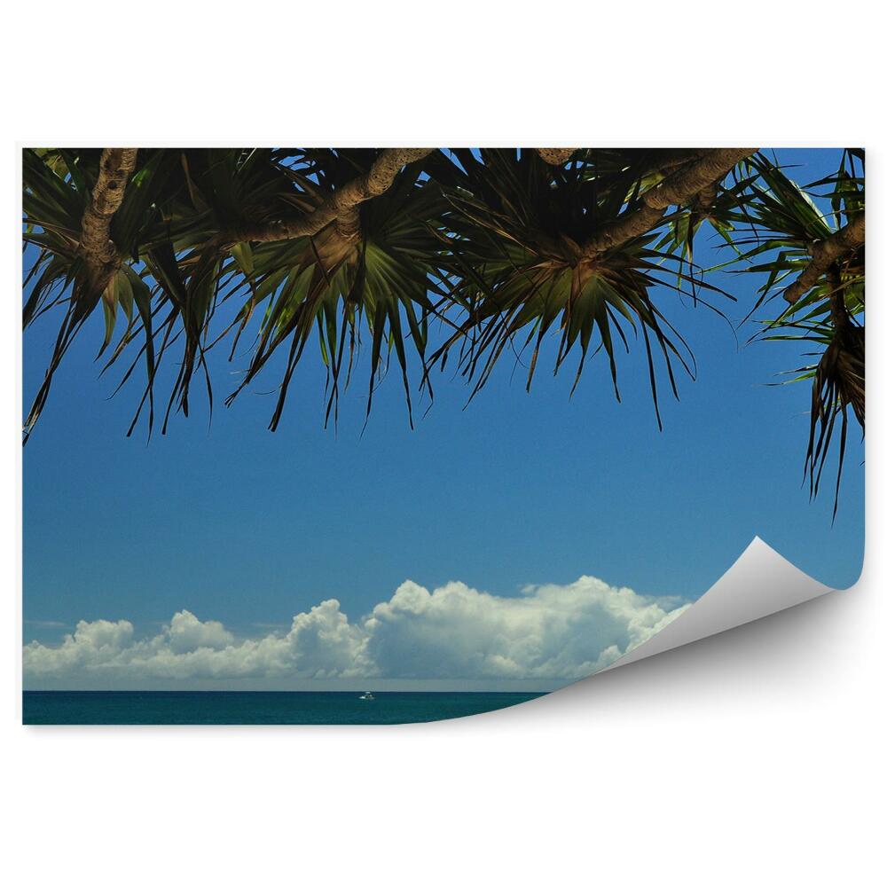 Fototapeta na ścianę Palmy na plaży