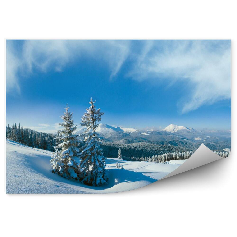 Fototapeta Zimowa panorama w górach