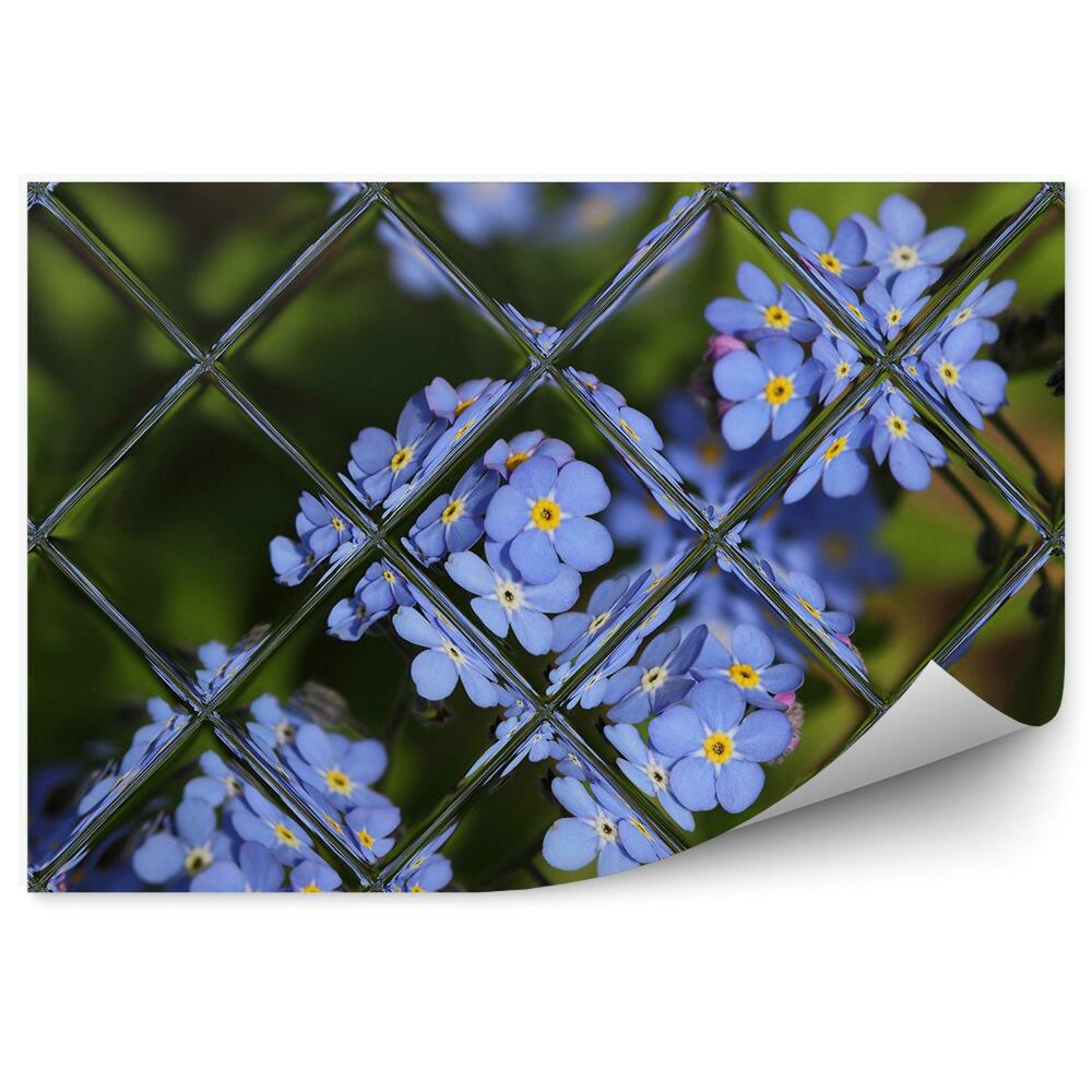 Fototapeta na ścianę Fioletowe kwiaty w ogrodzie widok za oknem