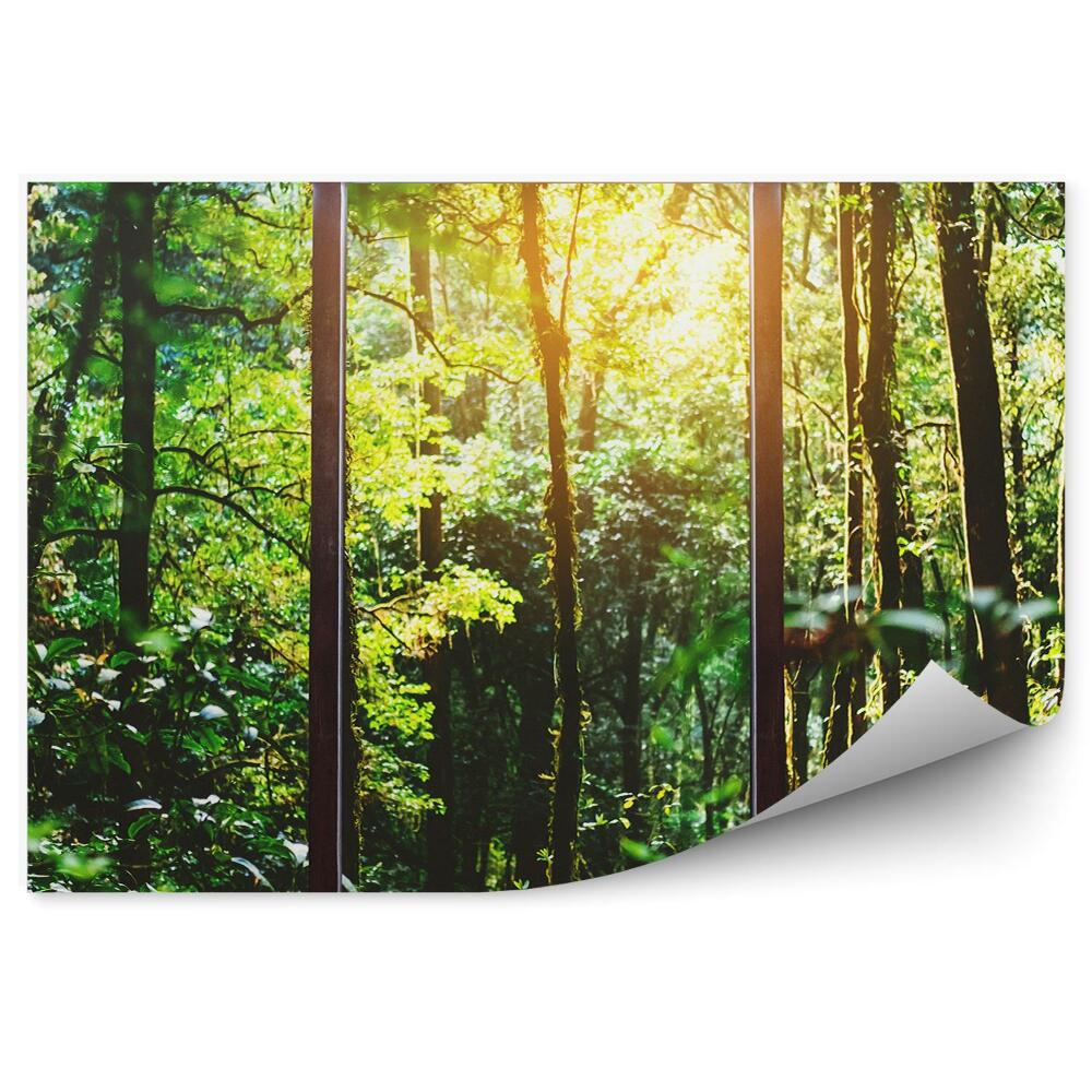 Fototapeta Duże okna z widokiem na zielony las roślinność