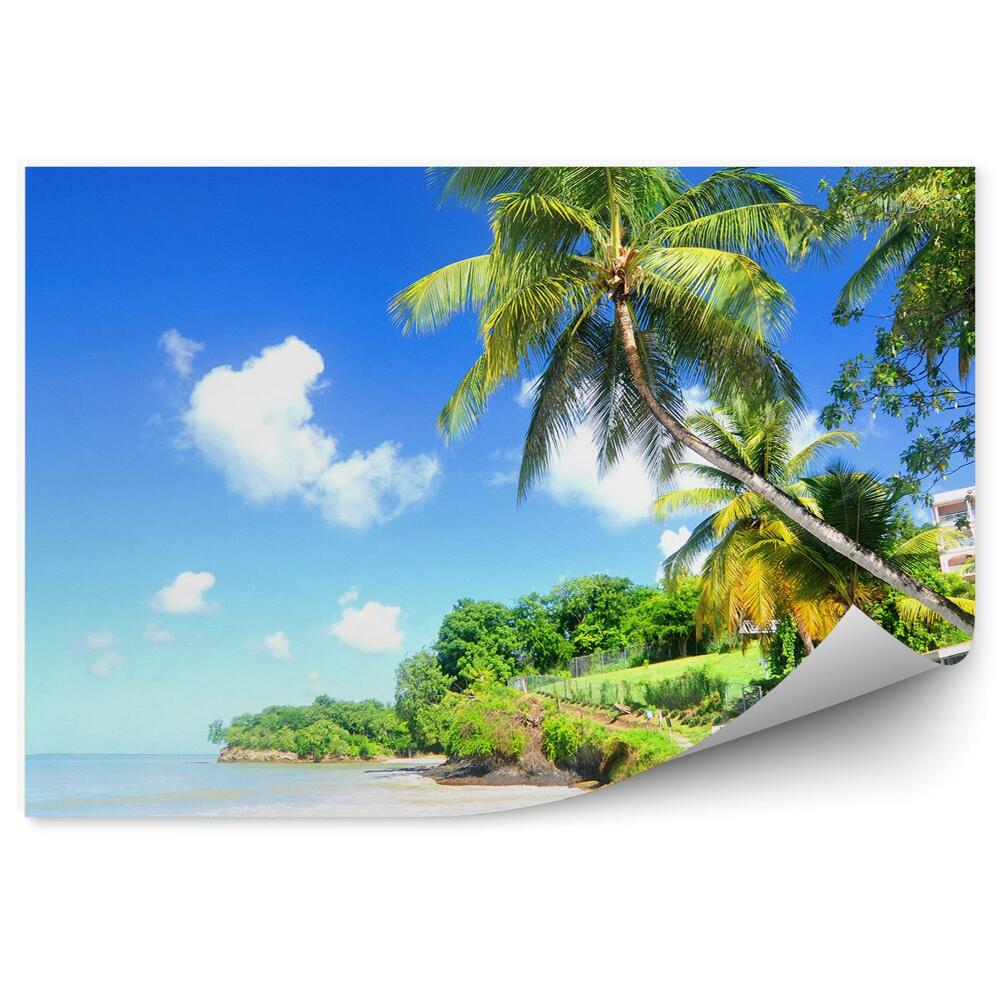 Fototapeta na ścianę morze Karaibskie palmy natura budynek niebo chmury