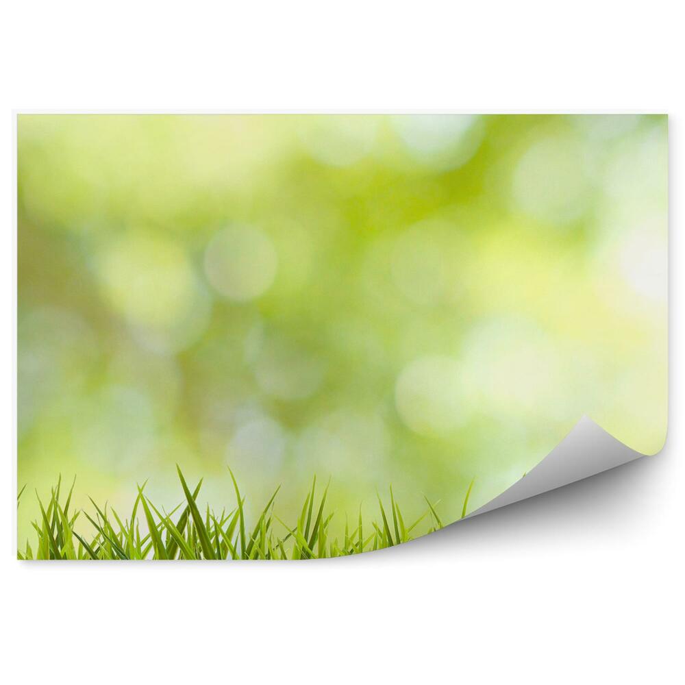 Okleina ścienna Zielona trawa tło grafika abstrakcja lato