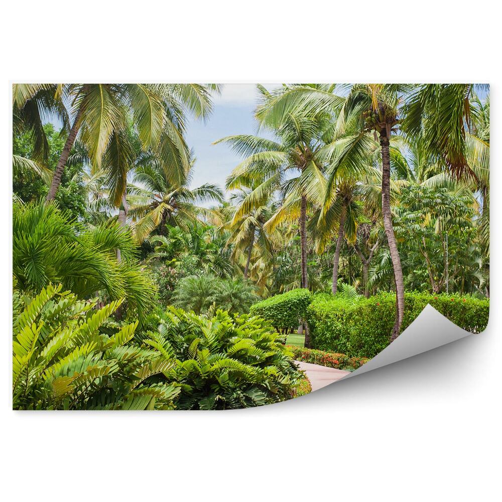 Okleina ścienna Budynki alejka palmy krzaki paprocie kwiaty egzotyczny ogród dominikana