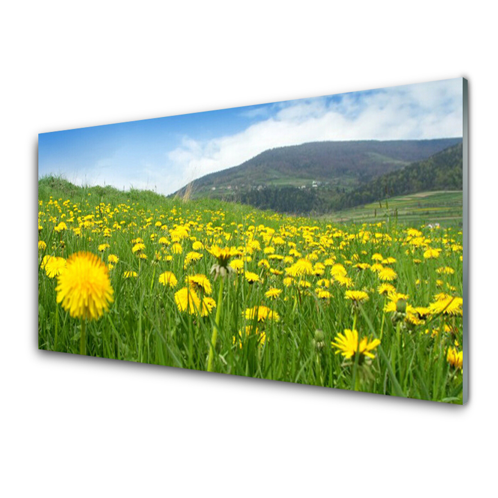 Obraz na Szkle Góry Łąka Kwiaty