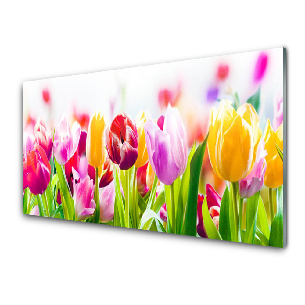 Obraz na Szkle Kolorowe Tulipany