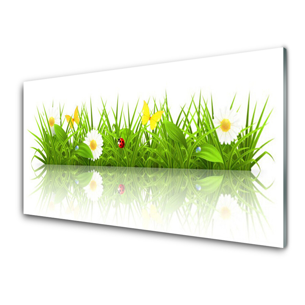 Obraz na Szkle Trawa i kwiatki Białe Tło