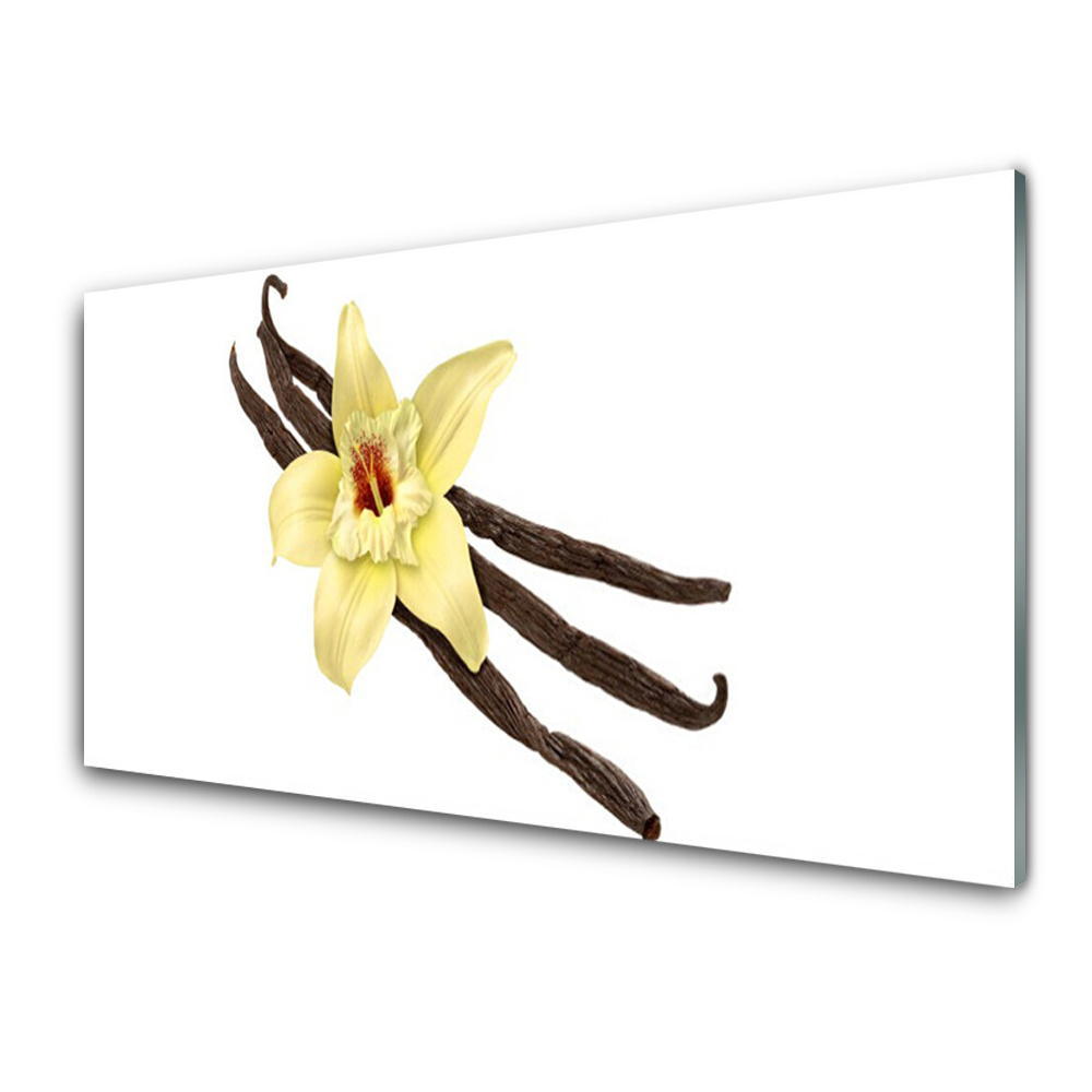 Obraz na Szkle Laski i kwiat Wanilii