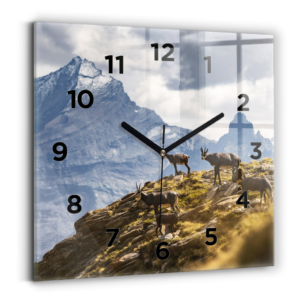 Zegar szklany 30x30 Koza w Dolinie Aosta