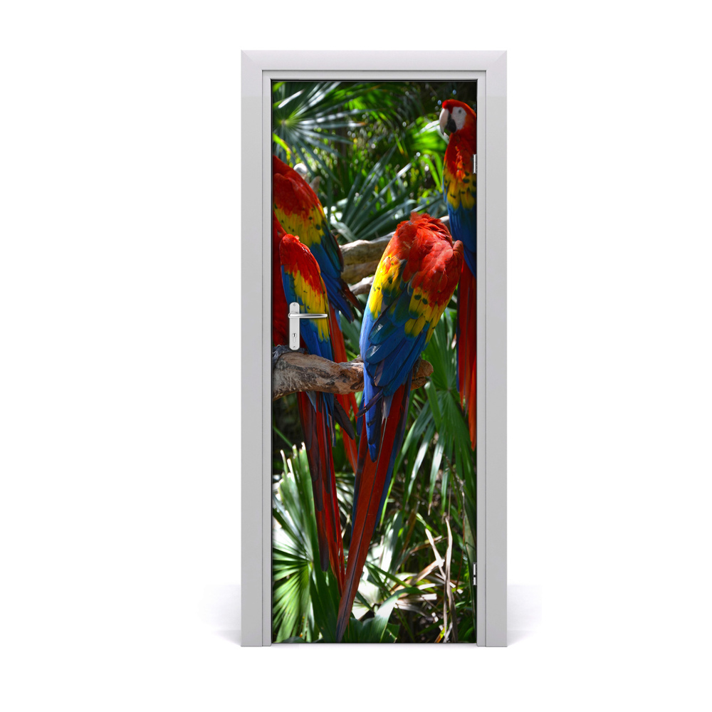 Naklejka samoprzylepna na drzwi Papugi