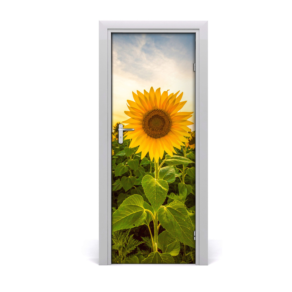 Fototapeta samoprzylepna drzwi Słonecznik na polu