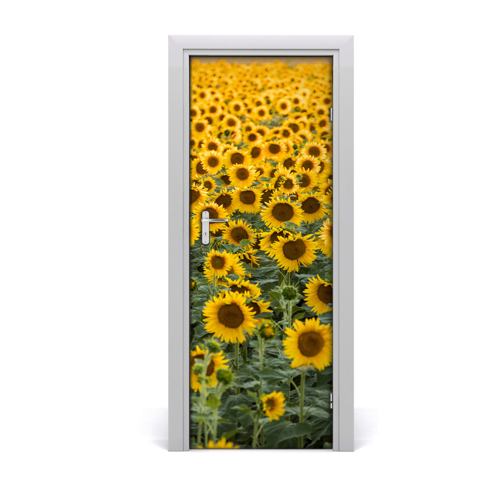 Fototapeta samoprzylepna drzwi Pole słoneczników
