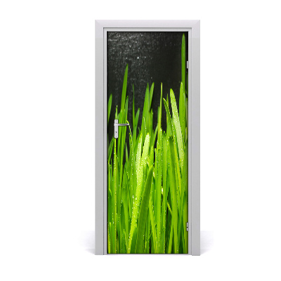 Nalepka Naklejka fototapeta na drzwi Trawa