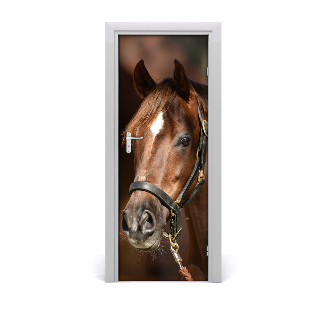 Naklejka samoprzylepna na drzwi Portret konia