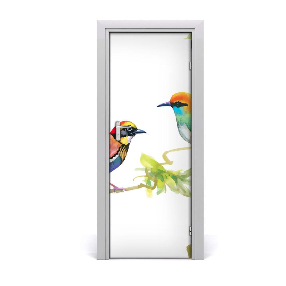 Naklejka samoprzylepna na drzwi Kolorowe Ptaki