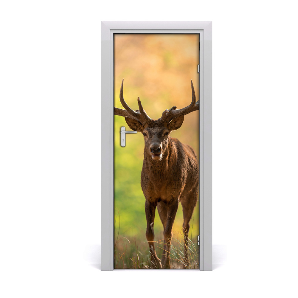 Fototapeta samoprzylepna na drzwi Jeleń w lesie