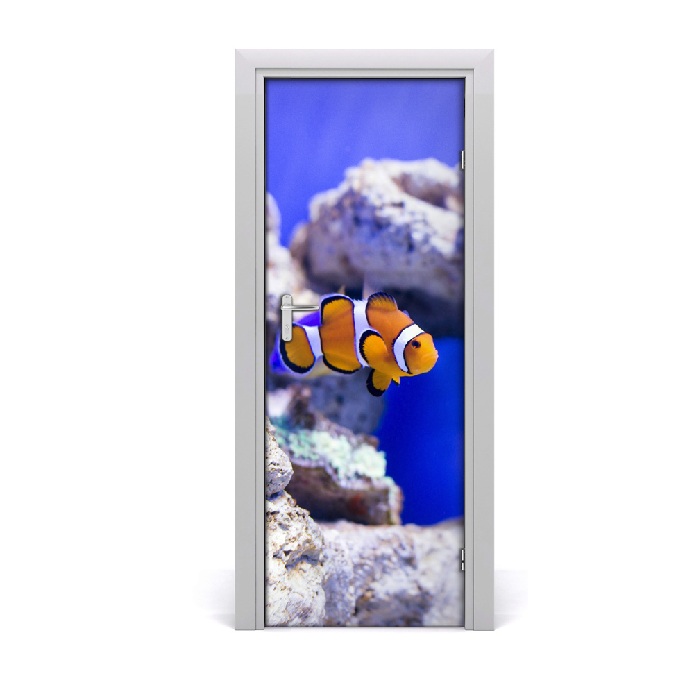 Naklejka samoprzylepna na drzwi Ryba rafa koralowa