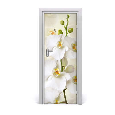 Nalepka Naklejka fototapeta na drzwi Biała orchidea