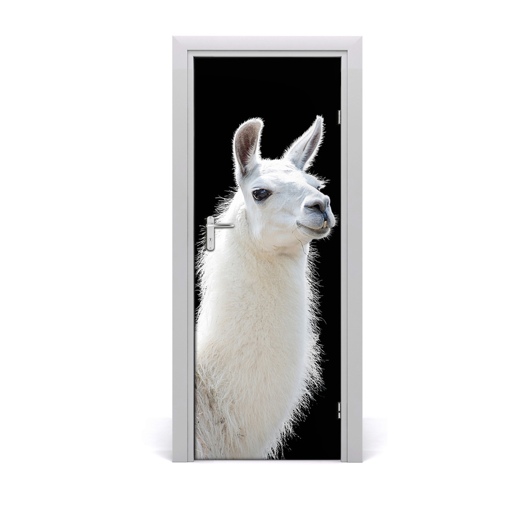 Fototapeta samoprzylepna na drzwi Biała lama czarne tło