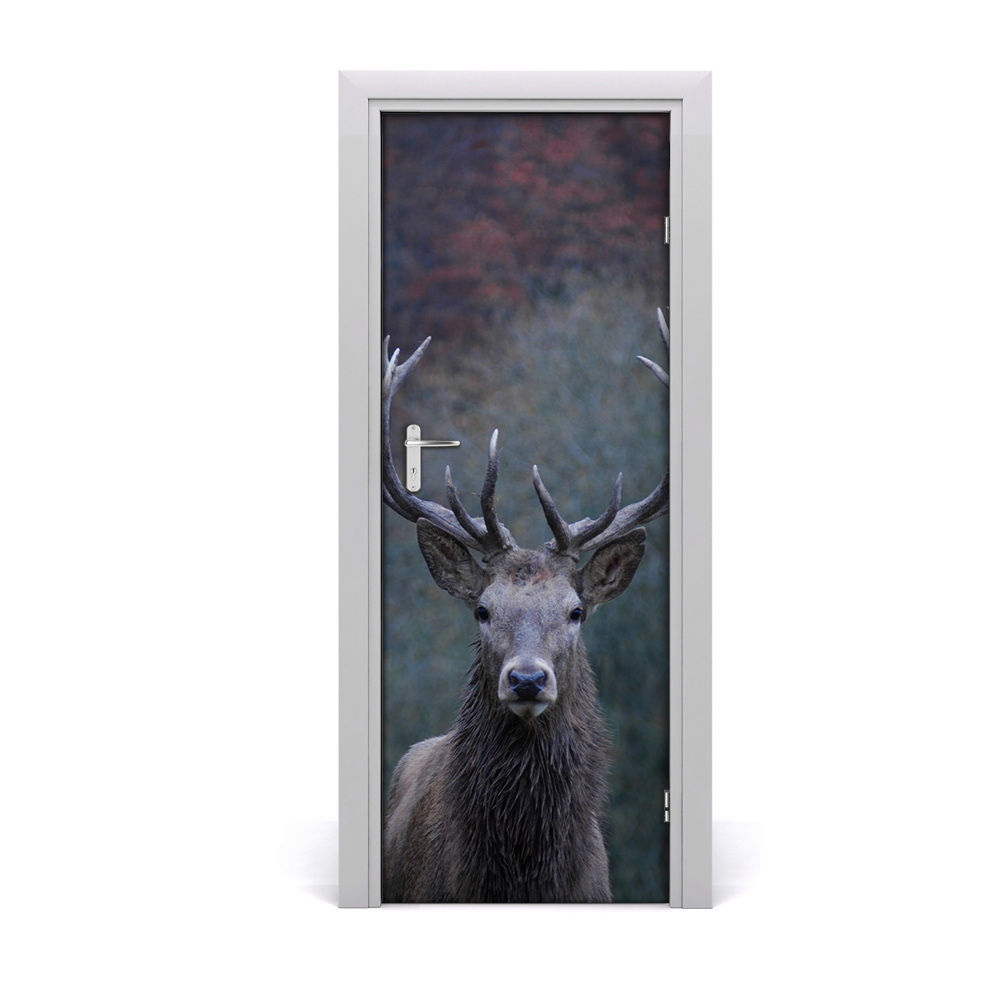 Fototapeta samoprzylepna na drzwi Jeleń przyroda