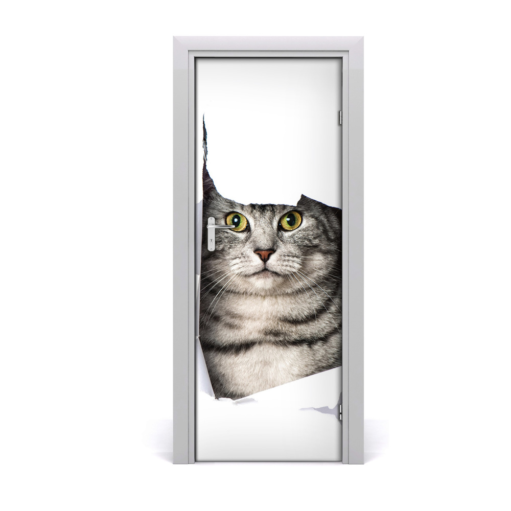 Fototapeta samoprzylepna na drzwi Szary kot w dziurze