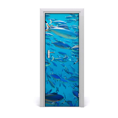 Naklejka samoprzylepna na drzwi Ławica ryb