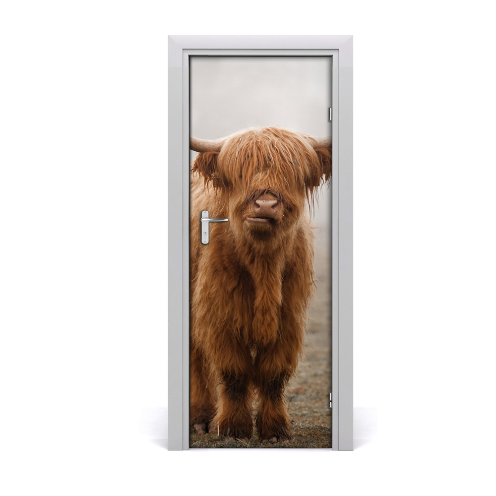 Fototapeta samoprzylepna na drzwi Długo włosa krowa