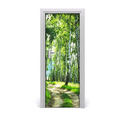 Naklejka fototapeta na drzwi Zielony las brzozowy