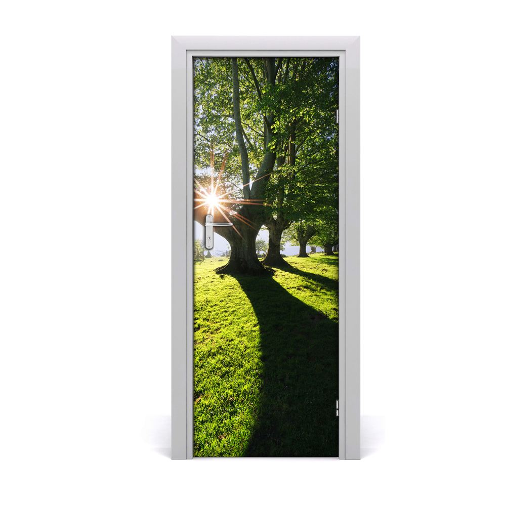 Naklejka fototapeta na drzwi Zielone drzewa w parku
