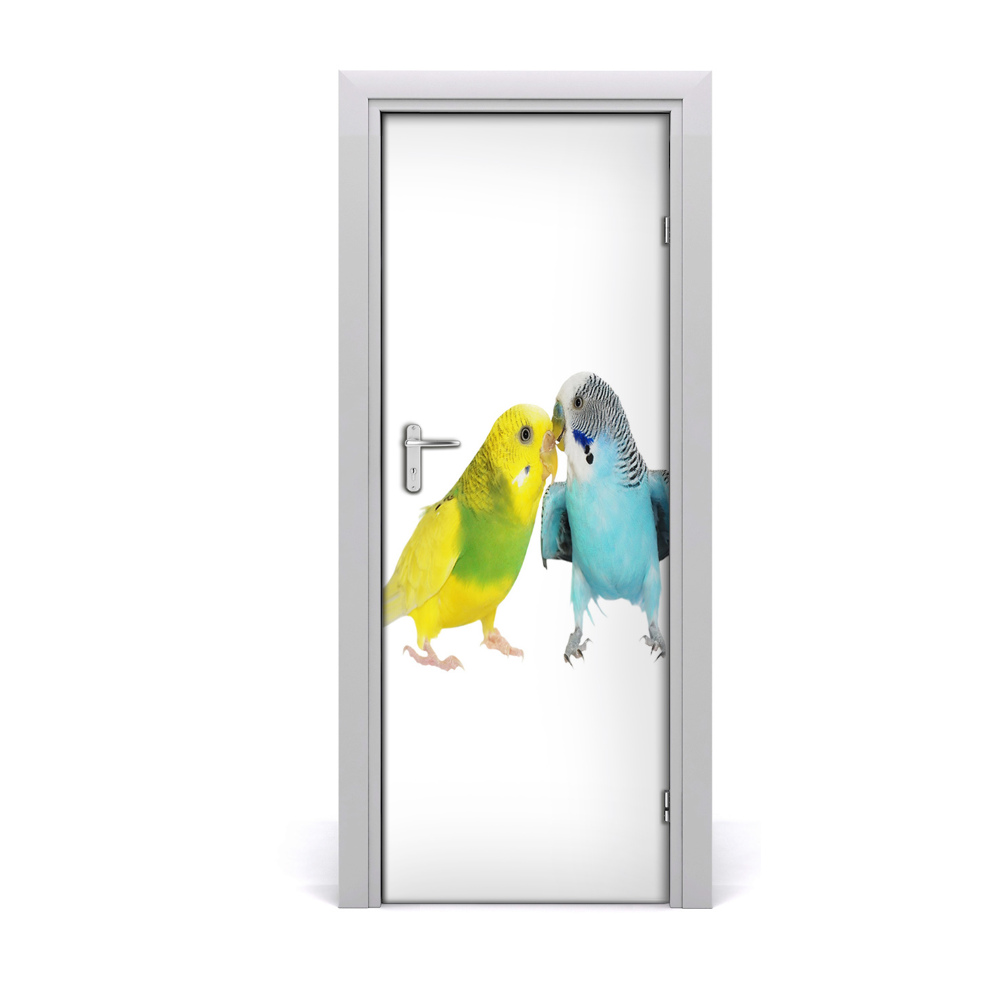 Naklejka samoprzylepna na drzwi Papużki