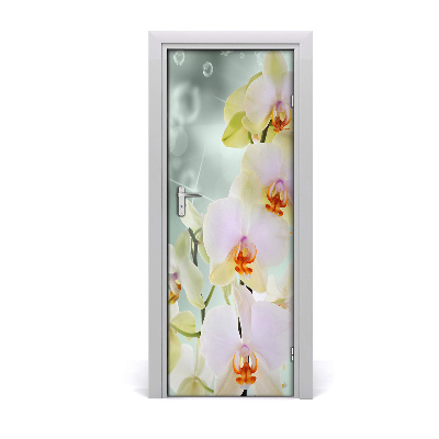 Naklejka samoprzylepna okleina Orchidea kwiat