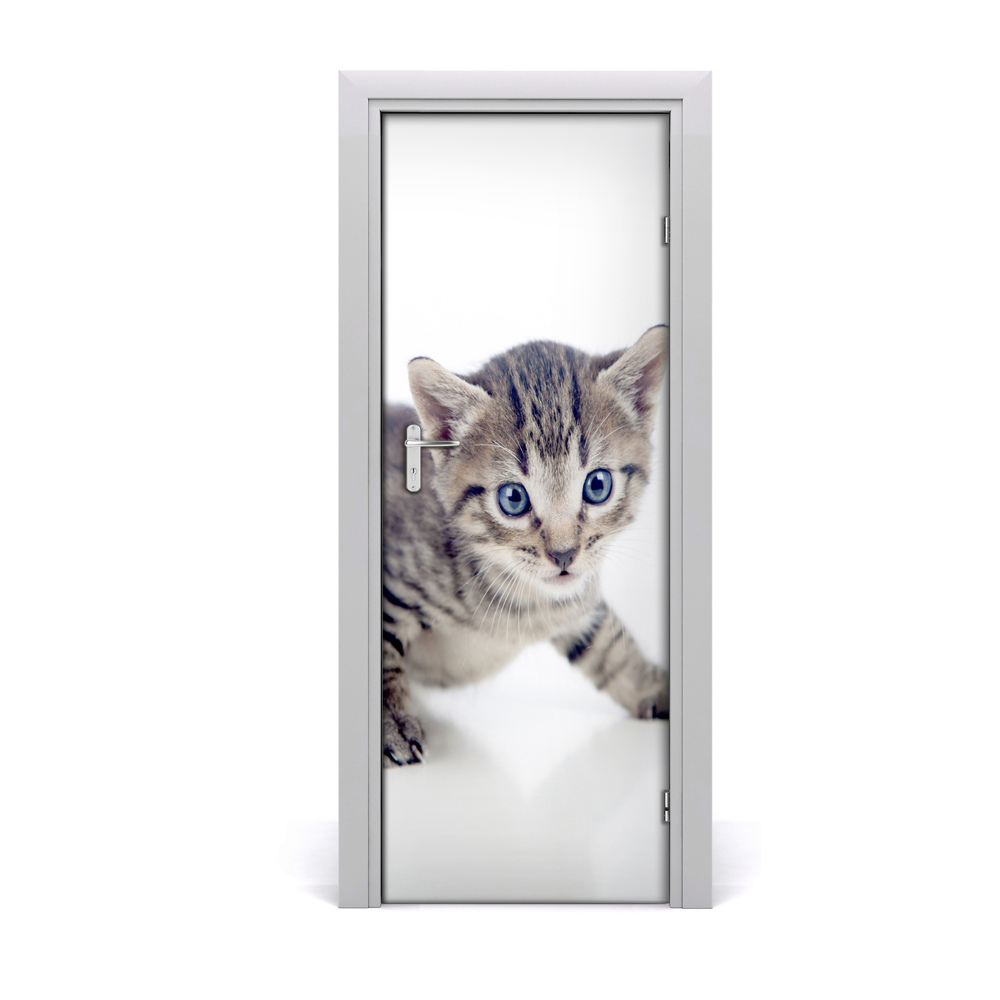 Naklejka samoprzylepna na drzwi Mały kot