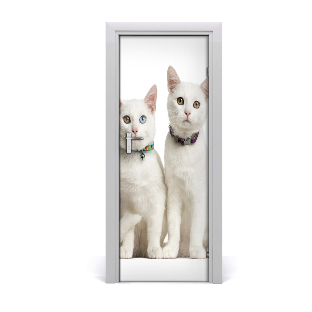 Naklejka samoprzylepna na drzwi Białe koty