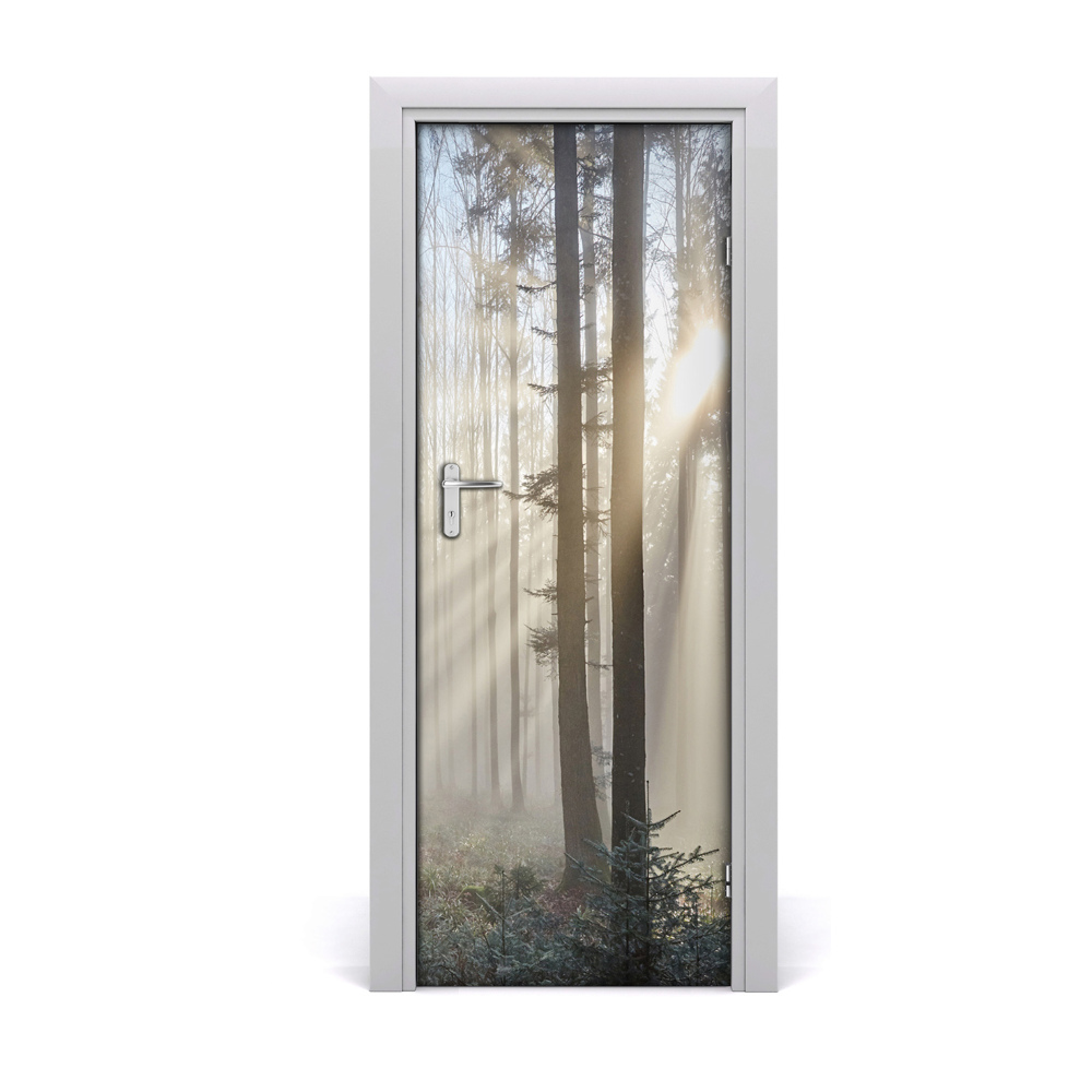 Naklejka fototapeta na drzwi Mgła wśród drzew