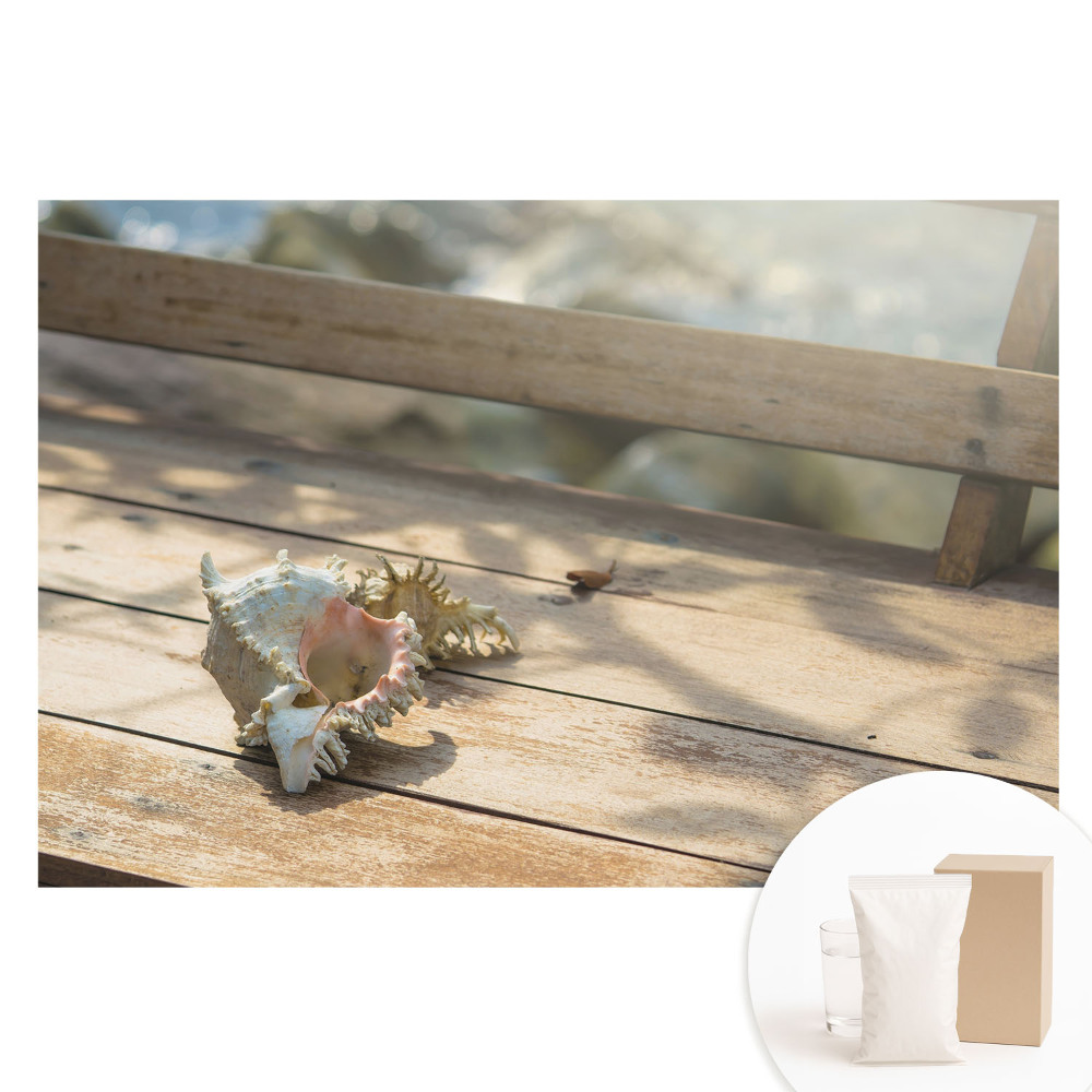 Fototapeta flizelinowa Muszla na drewnianej ławce