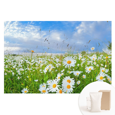 Duża fototapeta na ścianę Kwiecista łąka latem