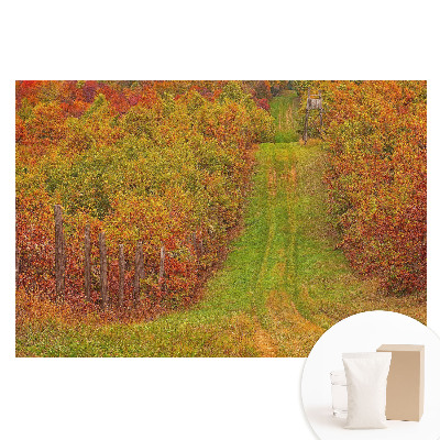 Tapeta fotograficzna na flizelinie Jesienna droga pośród kolorowych drzew